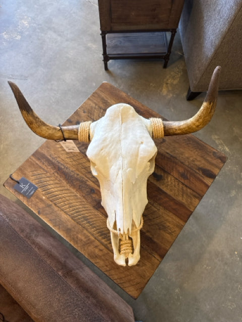 Cow Skull