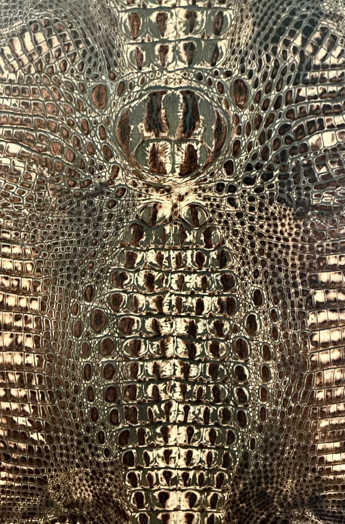 Roughing It In Style Pair Chairs