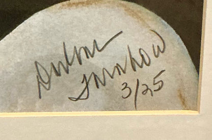 Darlene Turnbow Watercolor