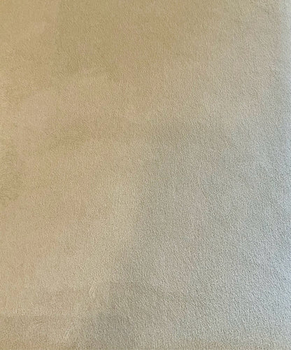 Room & Board Chair w/Ottoman