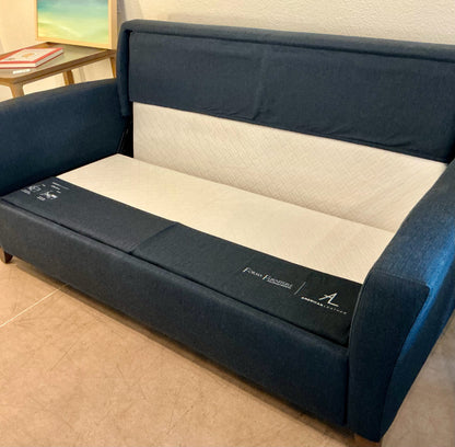 American Leather Sleeper