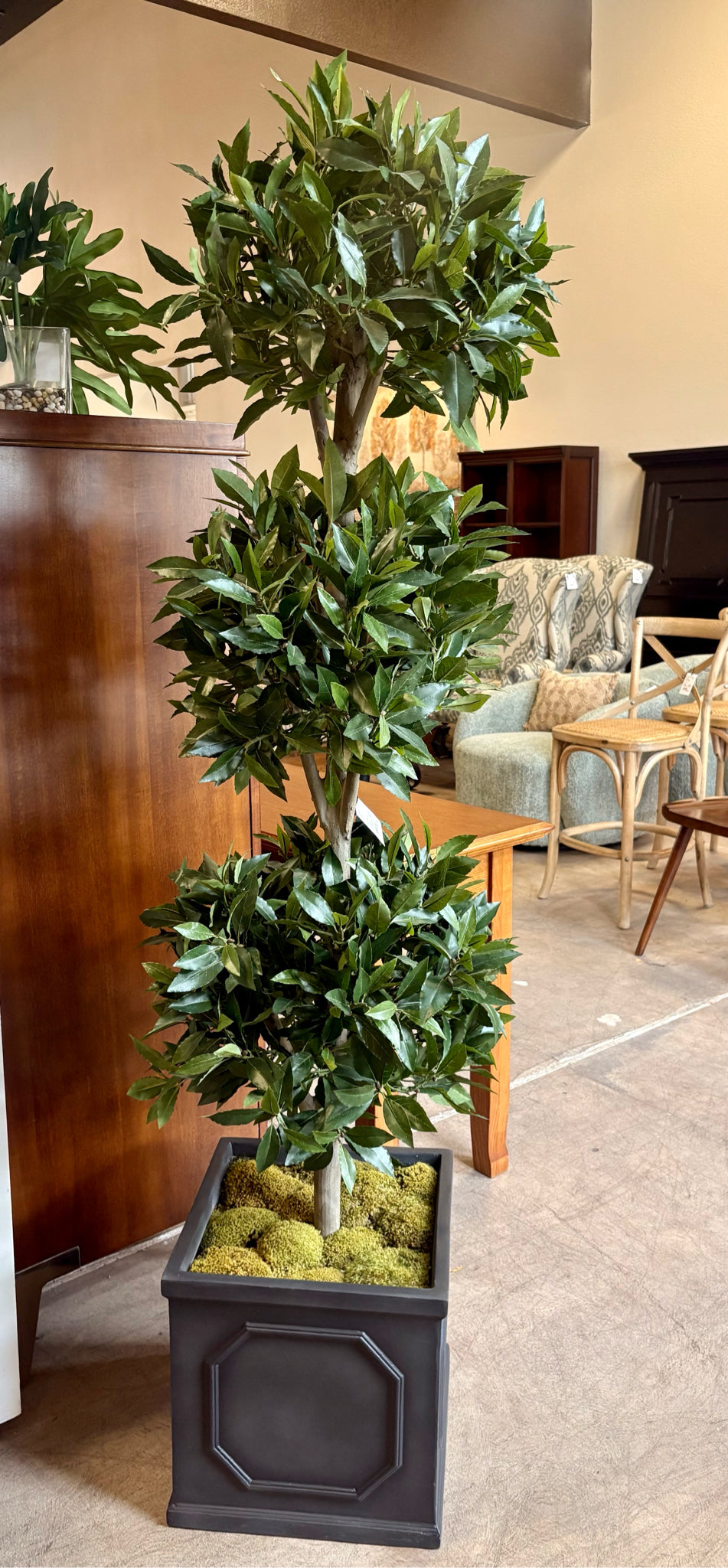 Topiary