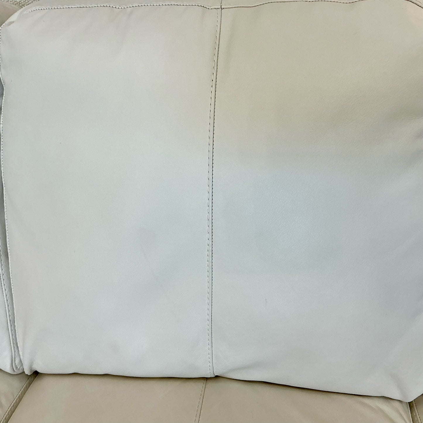 Natuzzi Sofa