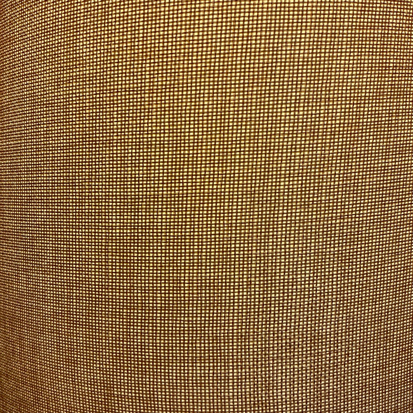 Pair Lamps