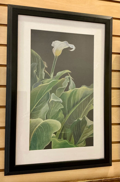 Darlene Turnbow Pastel