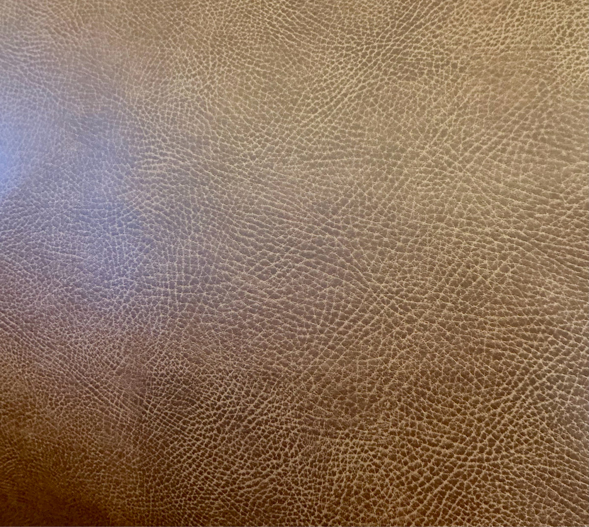 Golden Technologies Lift Chair